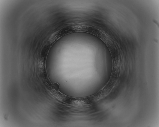 X0000091570749200708271158