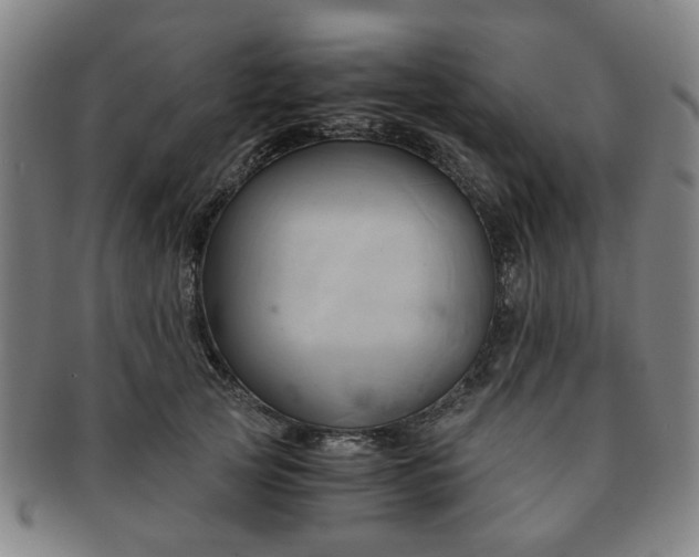 X0000091570753200708271158