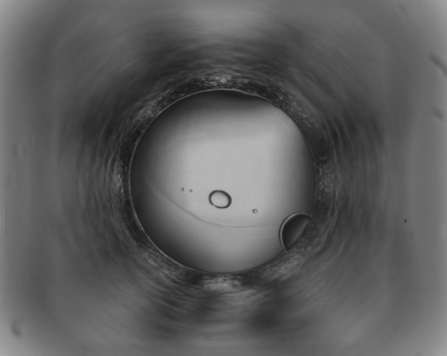 X0000091570754200708271158