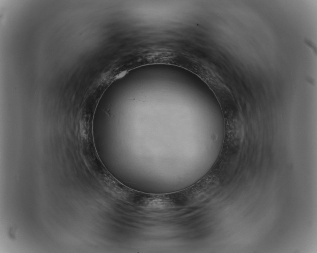 X0000091570755200708271158