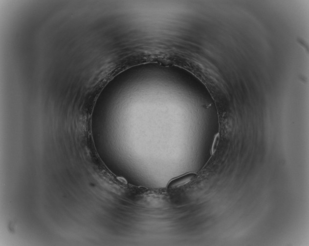 X0000091570756200708271158