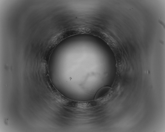 X0000091570757200708271158