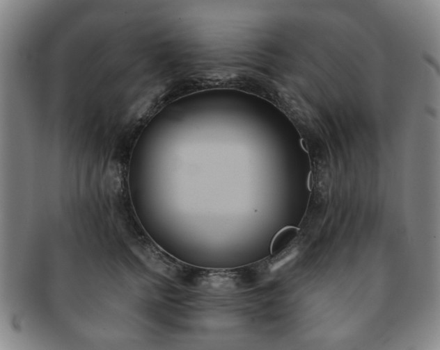 X0000091570758200708271158