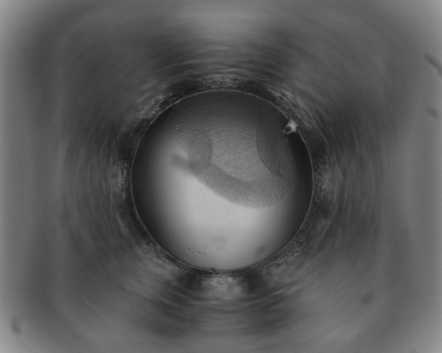 X0000091570759200708271158