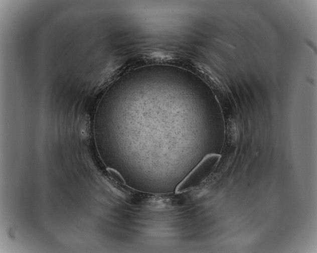X0000091570760200708271158