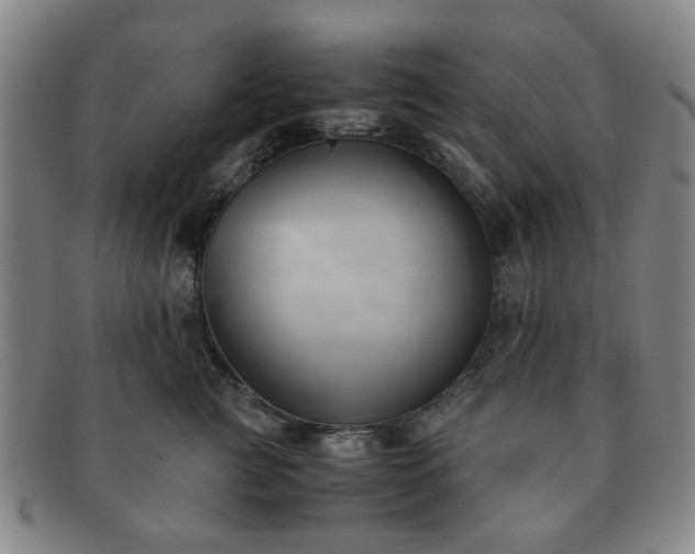 X0000091570761200708271158