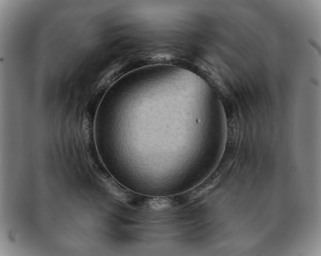 X0000091570762200708271158