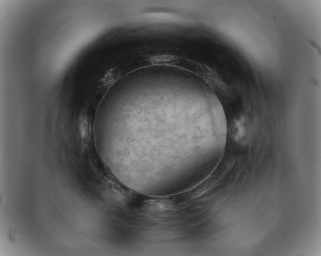 X0000091570763200708271158