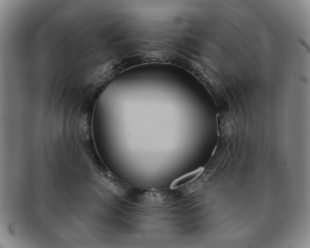 X0000091570764200708271158