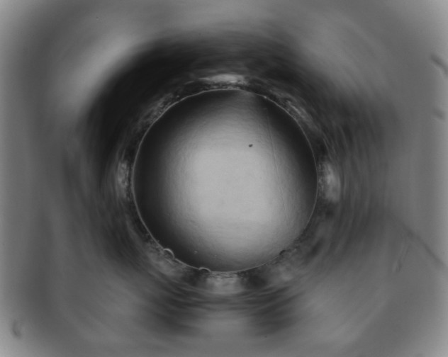 X0000091570767200708271158