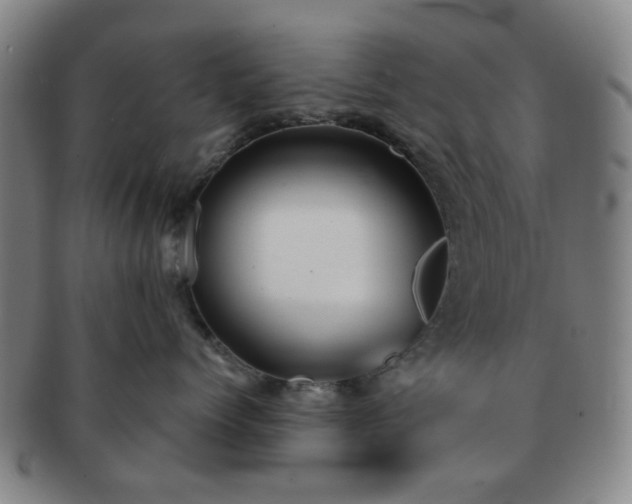 X0000091570768200708271158