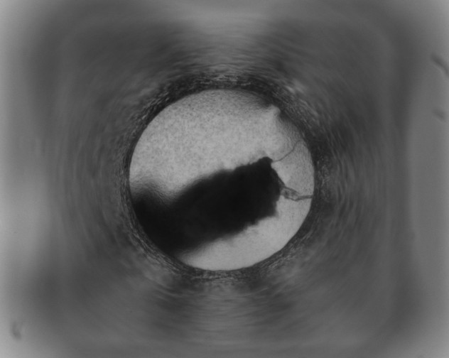 X0000091570769200708271157