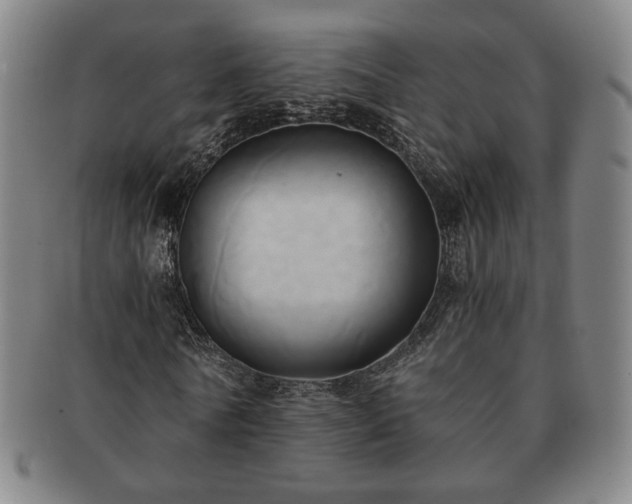 X0000091570770200708271157
