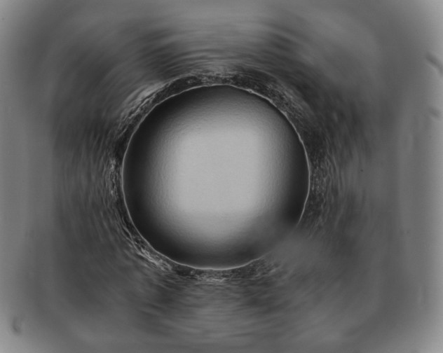 X0000091570773200708271157