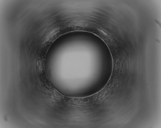 X0000091570774200708271157