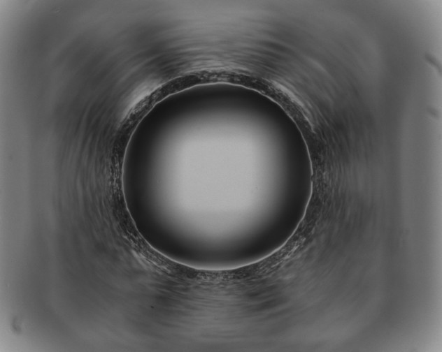 X0000091570775200708271157