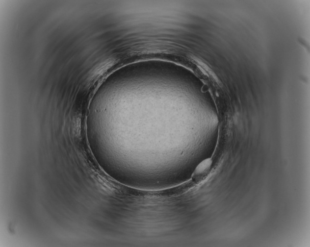 X0000091570777200708271157