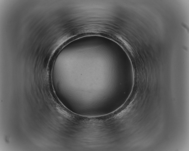 X0000091570779200708271157