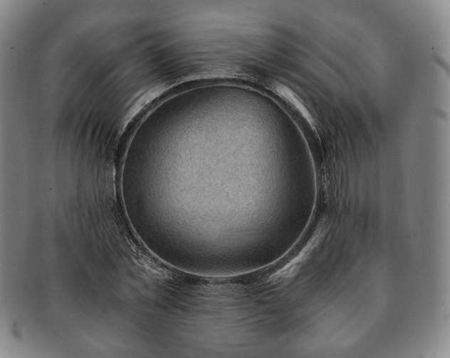 X0000091570781200708271157