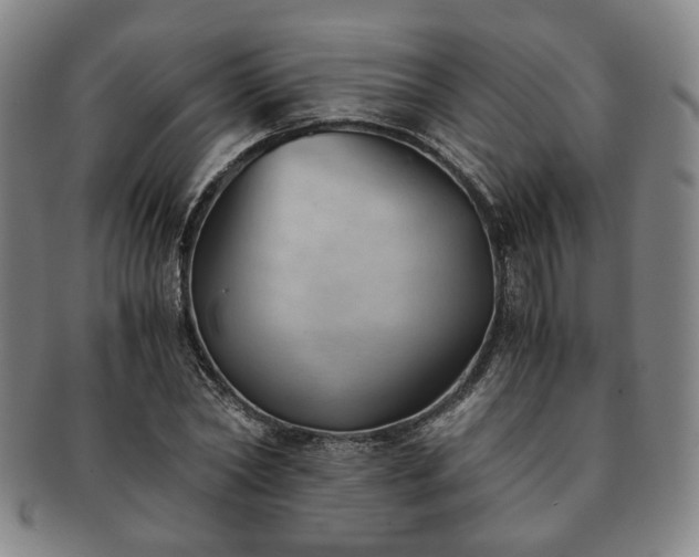 X0000091570782200708271157