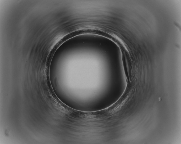 X0000091570783200708271157