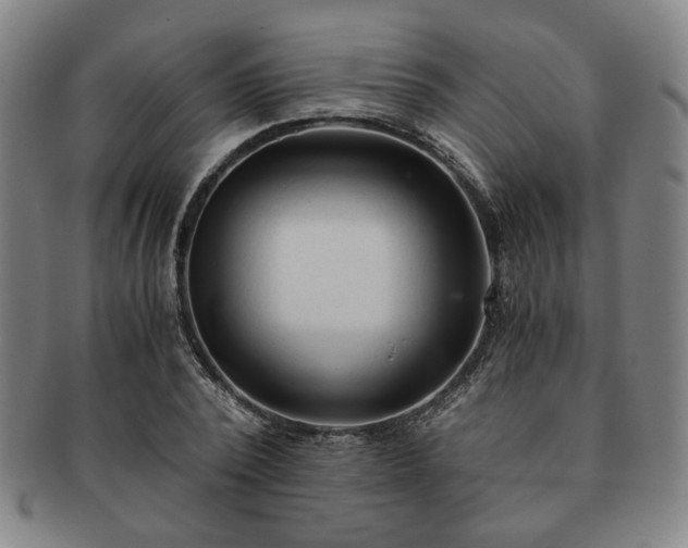 X0000091570784200708271157