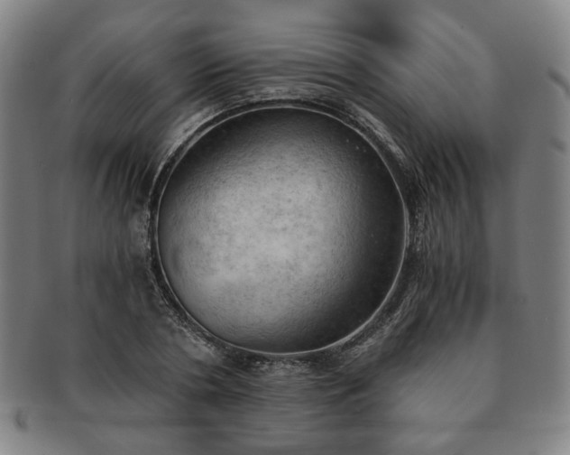 X0000091570786200708271157