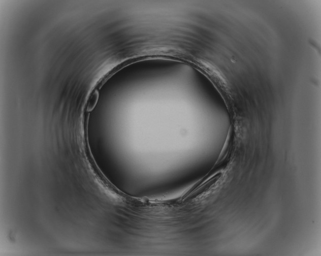 X0000091570792200708271157