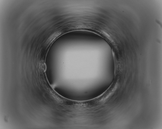 X0000091570793200708271157