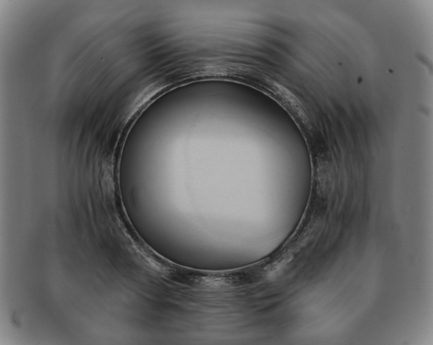 X0000091570794200708271157