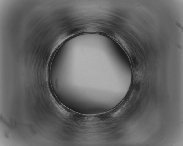 X0000091570795200708271157
