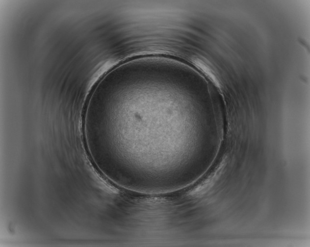 X0000091570797200708271157