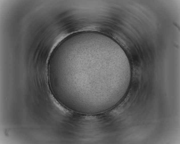 X0000091570800200708271157
