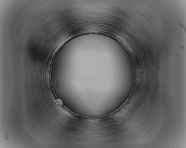 X0000091570802200708271157
