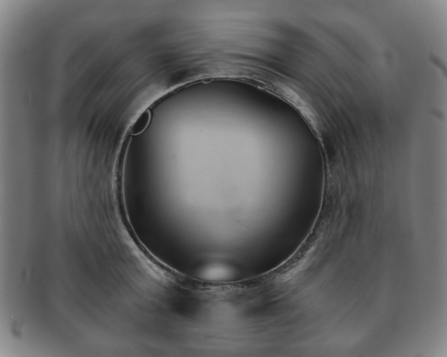X0000091570803200708271157