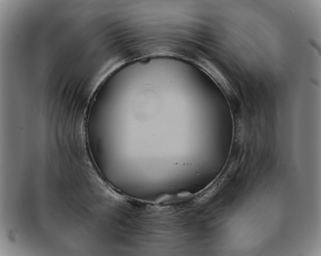 X0000091570806200708271156