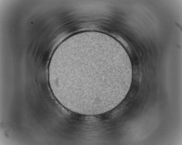 X0000091570807200708271156