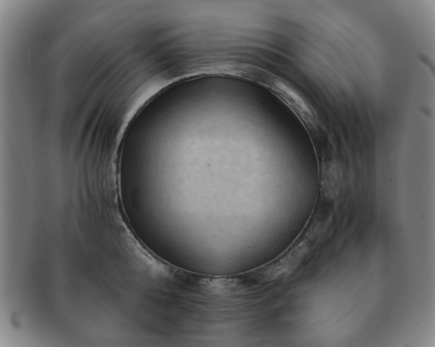 X0000091570808200708271156