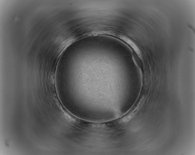 X0000091570809200708271156