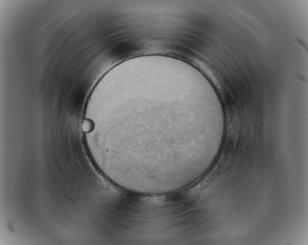 X0000091570810200708271156