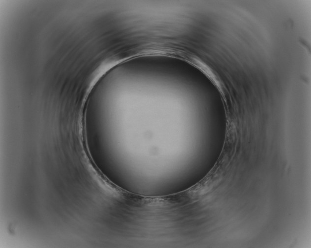 X0000091570811200708271156