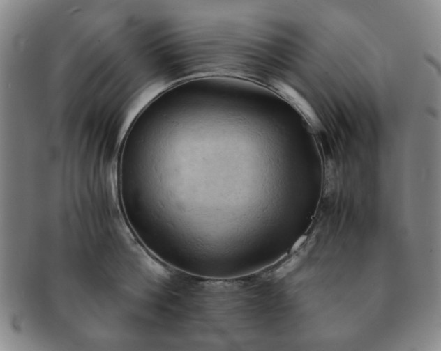 X0000091570812200708271156