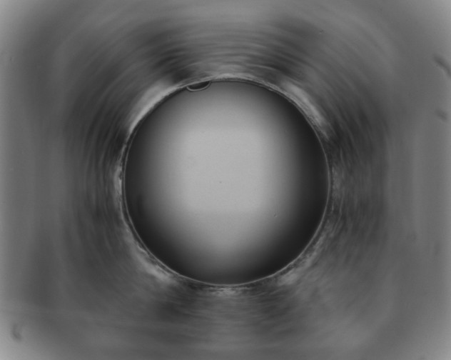 X0000091570814200708271156