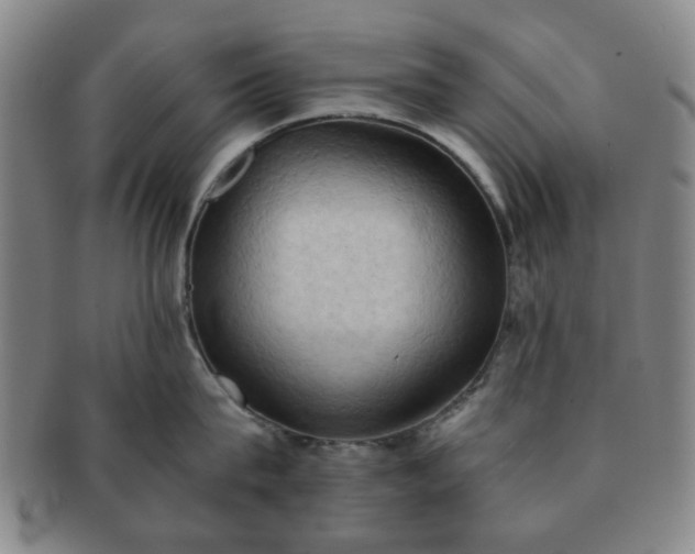 X0000091570815200708271156