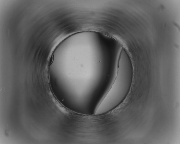 X0000091570816200708271156