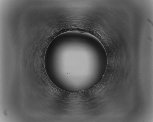 X0000091570817200708271156