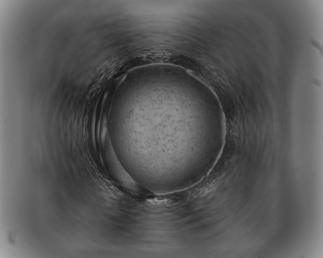 X0000091570818200708271156