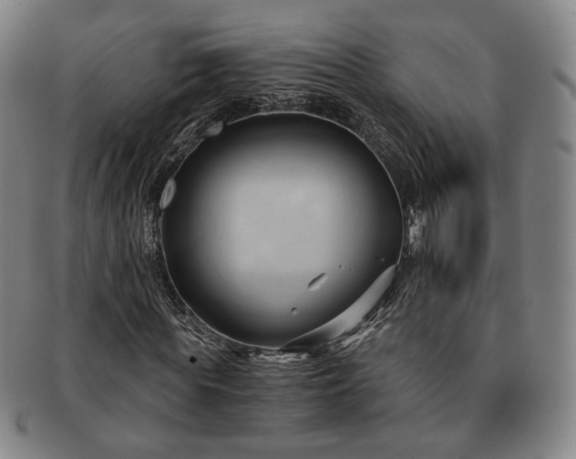 X0000091570819200708271156