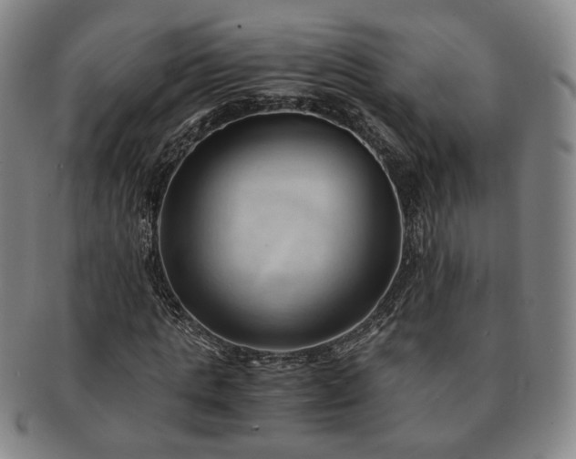 X0000091570821200708271156