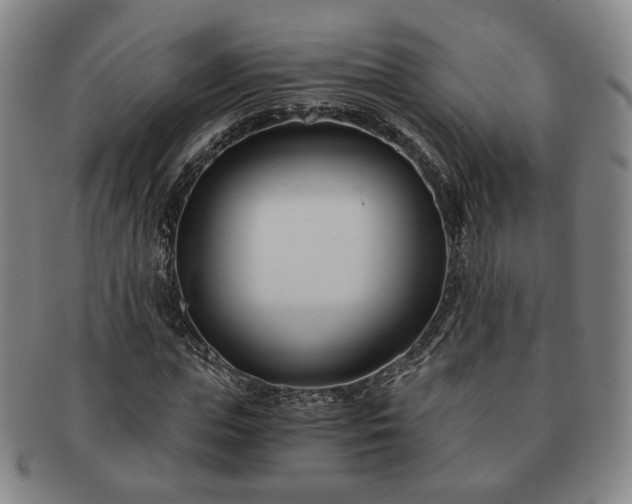 X0000091570823200708271156